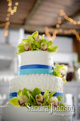 Best Paradise Cove at Buena Vista Watersports in Orlando, Florida wedding photographer - Sandra Johnson (SJFoto.com)